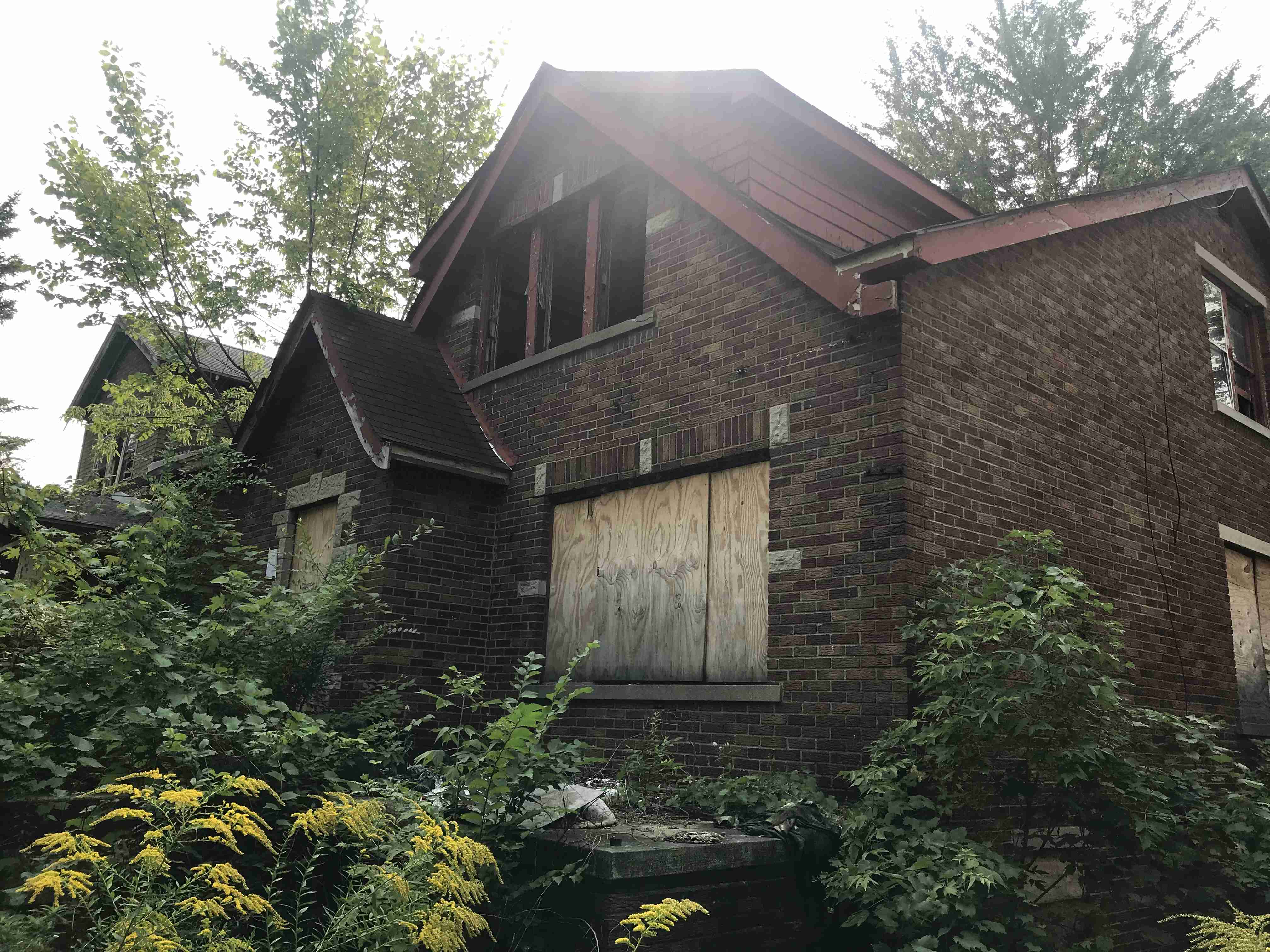 Photo Sep 15, 3 24 37 PM.jpg